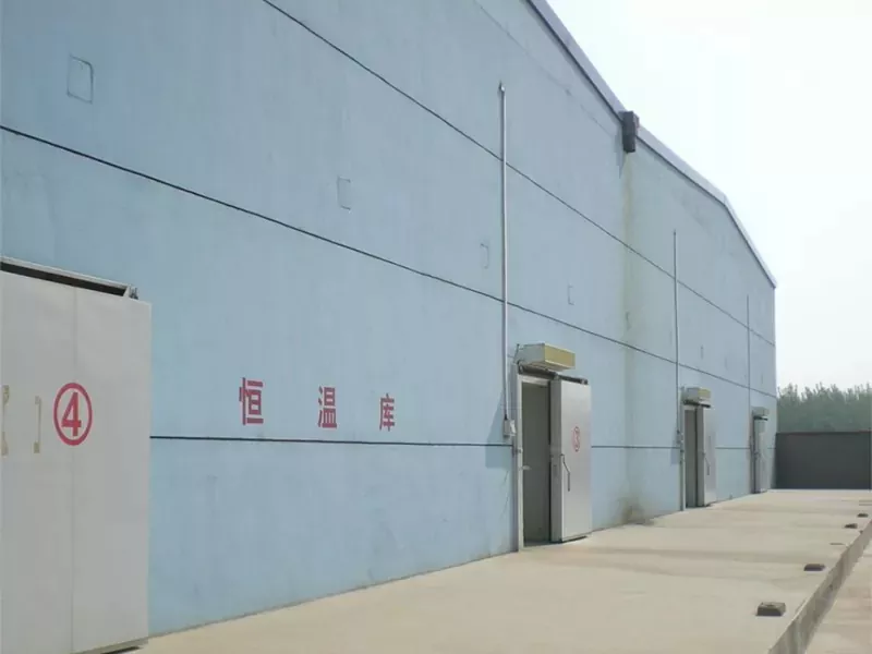 Almacén frigorífico de estrutura de aceiro