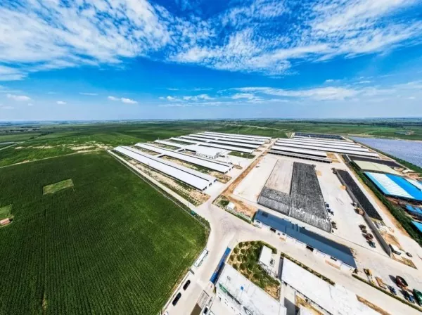 Planta de procesamento de alimentos de estrutura de aceiro